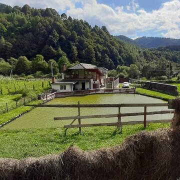 Фото номера Дом с 5 спальнями Дома для отпуска Hill House г. Şanţ 23